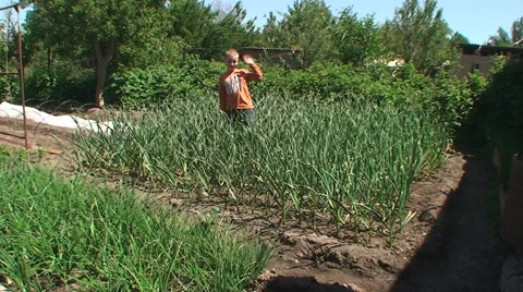 The boy friendly waves a hand 库存影片 44749097