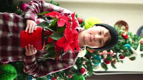 Boy in front of Christmas tree holding Poinsettia flower Stock Footage 145142297