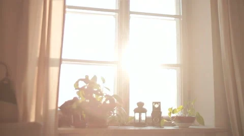 BOY IN FRONT OF THE WINDOW Stock Footage 68755735