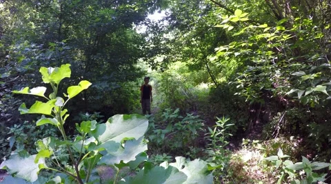 Boy fun strolling through on the forest path. 库存影片 51490026