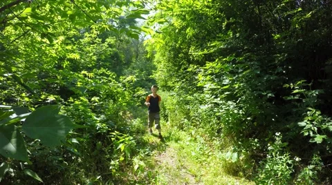 Boy fun walking on the forest path toward camera Stock-Footage 51489928