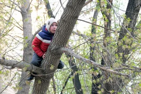 The boy in a funny hat with ears climbed a tree. Spring theme. Stock Photos