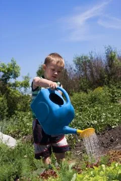 Boy in a garden Stock-Fotos