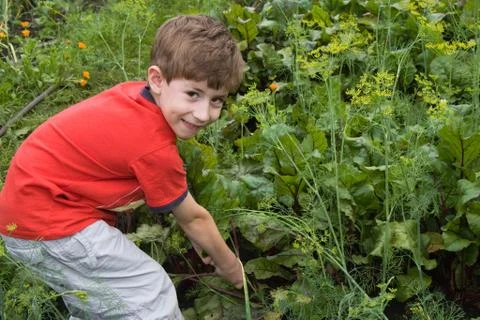 The boy in a garden 스톡 사진