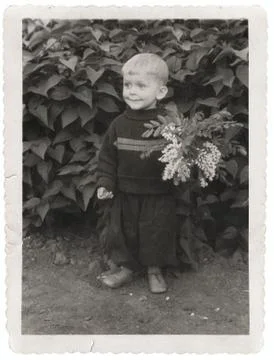 Boy in garden Stock Photos