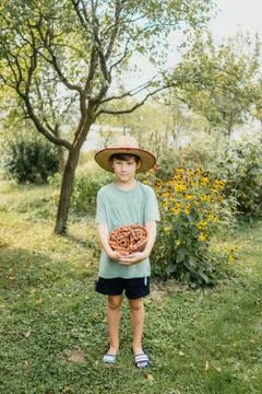 Boy in garden Stock Photos