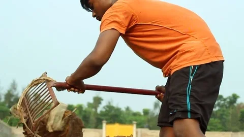 Boy gathers leaf plates with a pitchfork low angle in Bengal, Inda Stock Footage 84158847