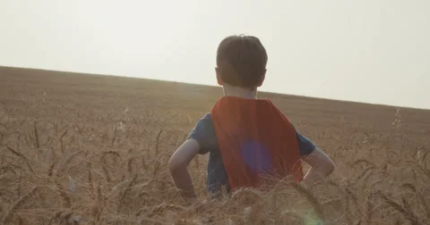 A boy gazes to the distance while standing in a field Stock Footage 63269836
