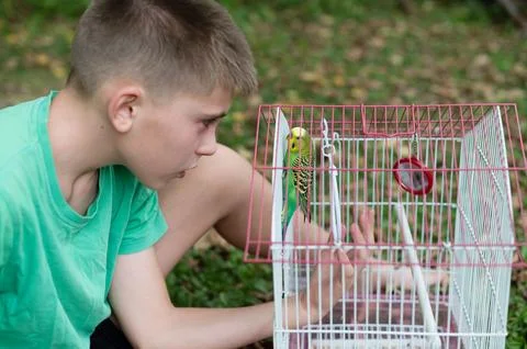 Boy gently interacts with a small, green bird in its cage outdoors. 스톡 사진