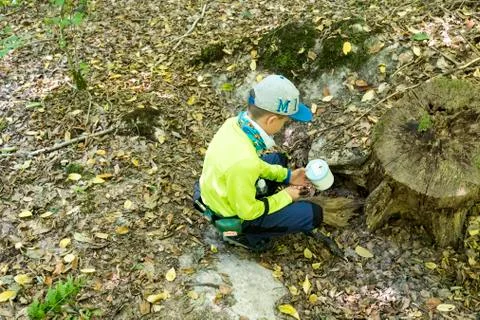 Boy at Geocachinge in the forest when he finds a cache Stock Photos