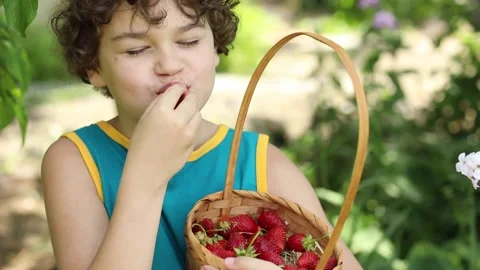The boy gladly eats ripe berries of garden strawberries Stock Footage 199172518