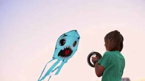 A boy gleefully plays with a kite on the beach by the sea, laughing and enjoying Stock Footage 250833433