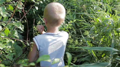 The boy goes to the bush Stock Footage 87842194