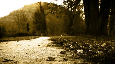 Boy goes hopping through the park with a shining umbrella Stock-Footage 51634080