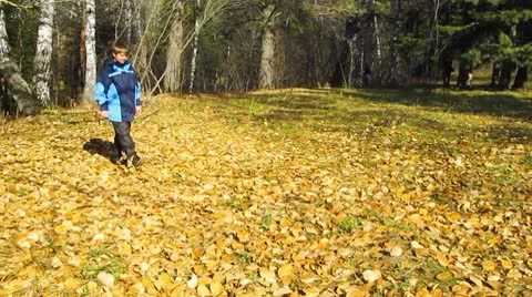 Boy going in autumn garden 스톡 동영상 8915778
