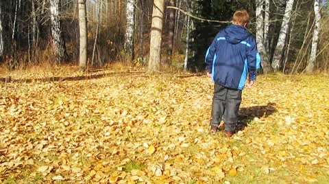 Boy going in autumn garden Видео 8954766