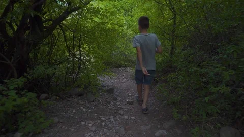Boy Going Down Forest Mountain Path In Summer Stock Footage 115150653