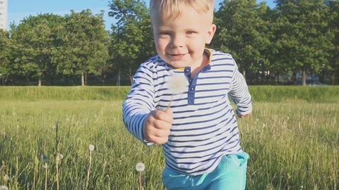 The boy going with a white dandelion flower in his hand Video stock 95535184