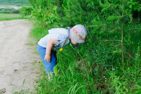 Boy in grass Stock Photos