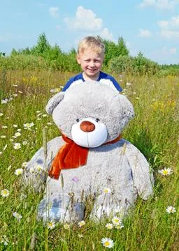 The boy with grey Teddy bear Stock Photos