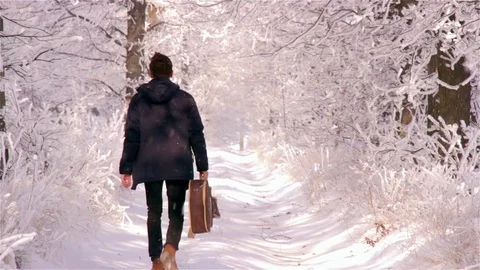 The boy with guitar walking alone through the park on a snowy day Stock Footage 73459832