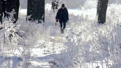 The boy with guitar walking alone through the park on a snowy day Stock Footage 73459880