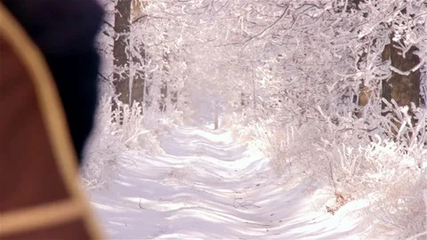 The boy with guitar walking alone through the park Stock Footage 73460055