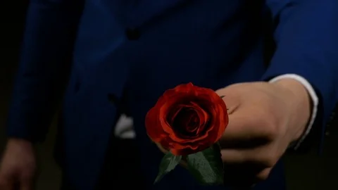 Boy hands out a rose as his valentine present for his lover Stock Footage 74678613