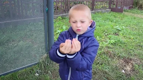 Boy hands shows Stock Footage 75198551