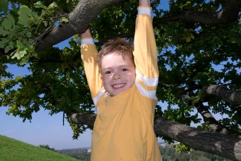 Boy hanging on tree, portrait Stock Photos