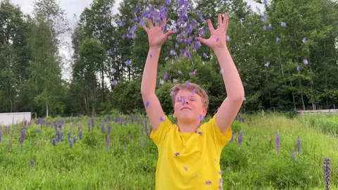 A boy is happily exploring a meadow filled with purple lupines. Stock Footage 311163860