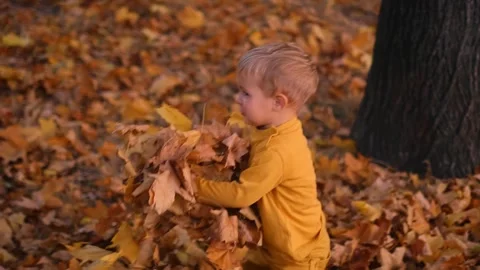 The boy happily throws leaves into the air, his laughter echoing through the par Stock Footage 265433281