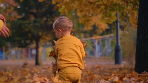 The boy happily throws leaves into the air, his laughter echoing through the par 動画素材 265433298