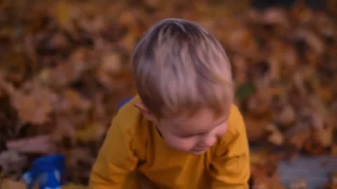 The boy happily throws leaves into the air, his laughter echoing through the par Stockbeeldmateriaal 265433308