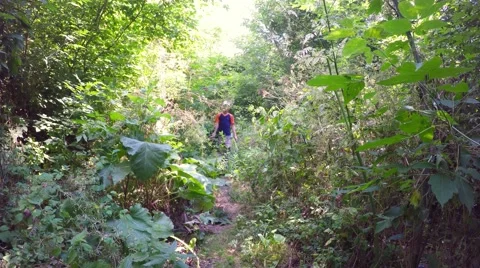 Boy happy walking on the forest path and stops and smiles at camera 库存影片 51490033