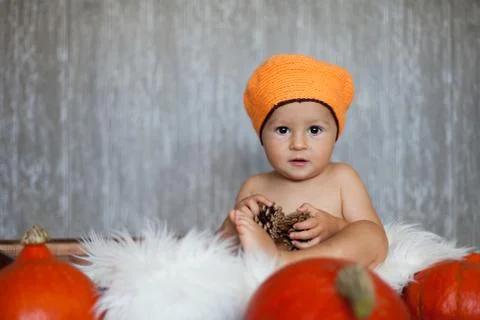 Boy with a hat and pumpkins Stock Photos
