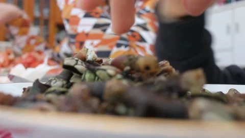 Boy having barnacles for lunch Stock Footage 237526892