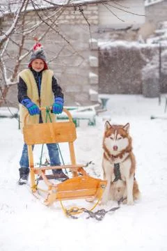 Boy having a cuddle with husky sled dog Stock Photos