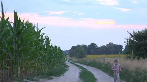 Boy having fun in field running and approaching to camera Video stock 72548366