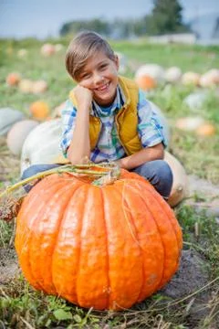 Boy having fun with pumpkins on pumpkin patch on farm 写真素材