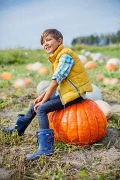 Boy having fun with pumpkins on pumpkin patch on farm 写真素材