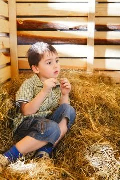 Boy on hayloft Stock Photos