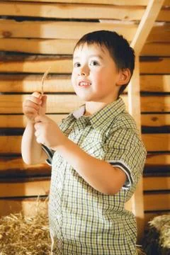 Boy on hayloft Foto stock