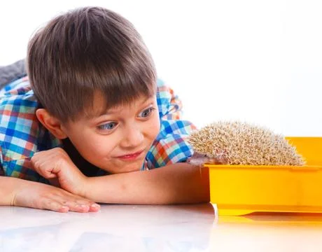 Boy with Hedgehog 写真素材