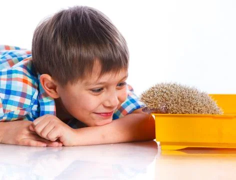 Boy with Hedgehog 写真素材