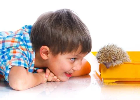 Boy with Hedgehog 写真素材