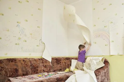 Boy helps to make repairs in the room by removing old wallpaper from the walls Stock Photos