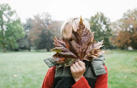 Boy hiding behind a large maple leaf outdoors in autumn Stock Photos