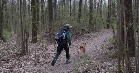 Boy is hiking in forest. The boy is walking alone in the woods Stock Footage 153275493