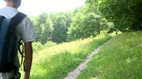Boy Is Hiking In The Forest Stock Footage
